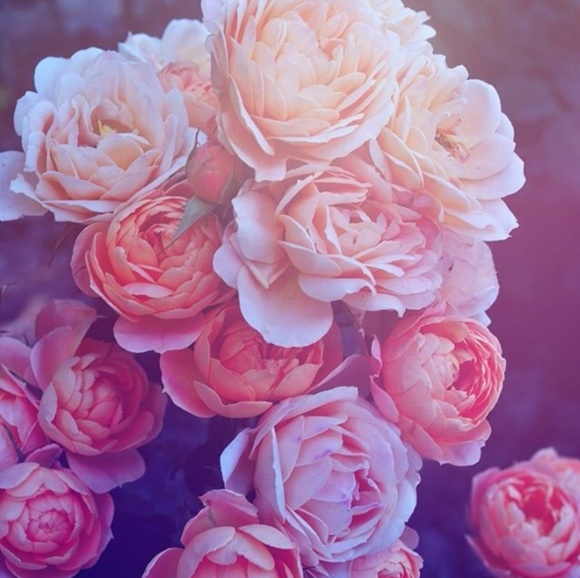 Meet your Posher, Kaila - Picture 1 of 1